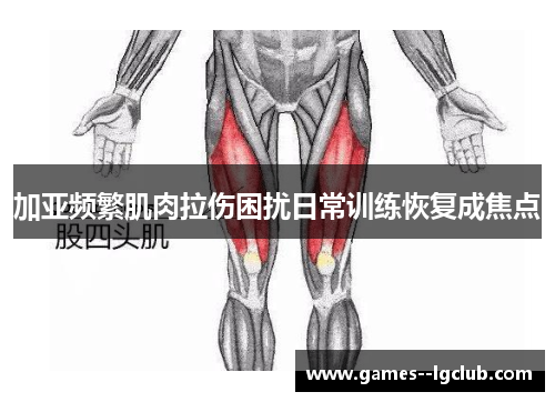 加亚频繁肌肉拉伤困扰日常训练恢复成焦点 加亚频繁肌肉拉伤困扰日常训练恢复成焦点